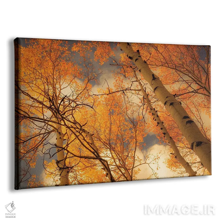 تابلو صنوبرهای سربهفلککشیده اثر دان شوارتز - نمای پرسپکتیو محصول