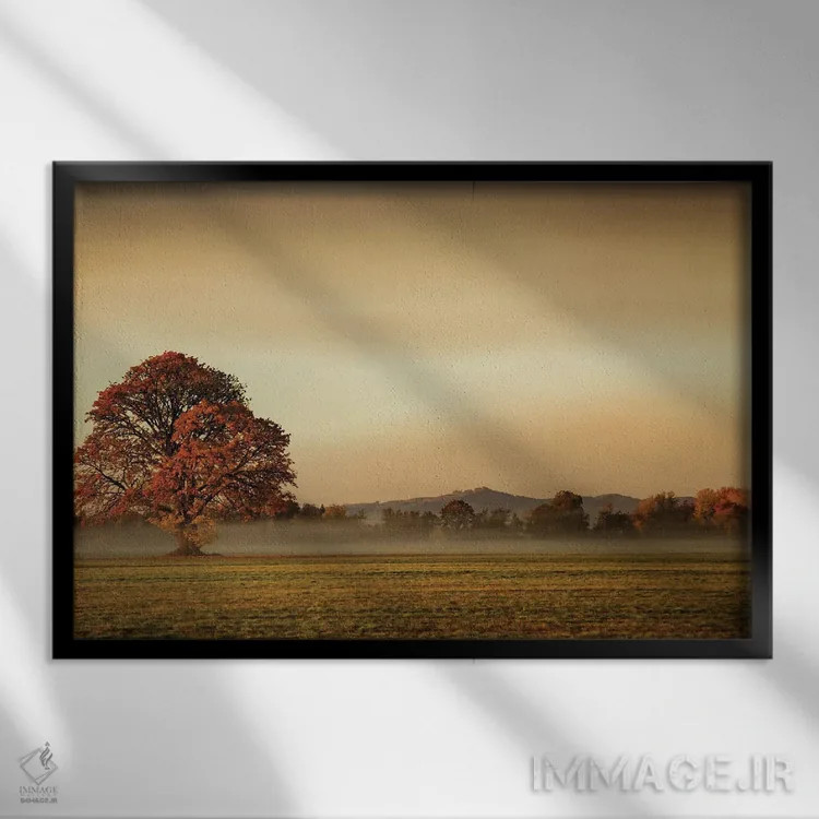 تابلو دریافت مه اثر دان شوارتز - نمای قابدار مشکی