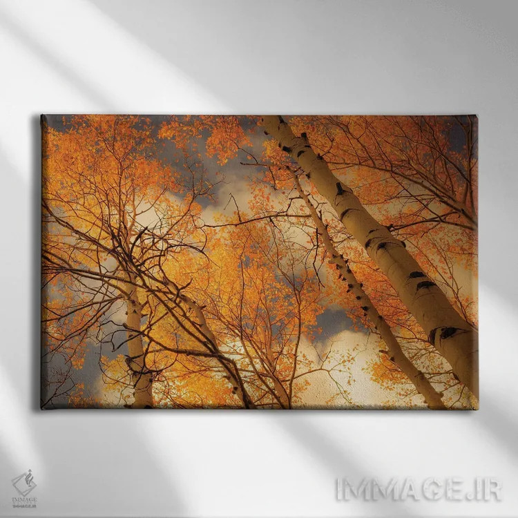 تابلو صنوبرهای سربهفلککشیده اثر دان شوارتز - نمای روبهرو روی دیوار