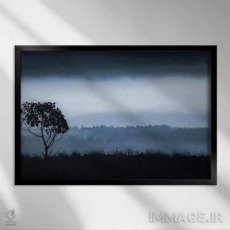 تابلو درخت تنها در واشن (جزیرهٔ واشن) اثر دان شوارتز - نمای قابدار مشکی