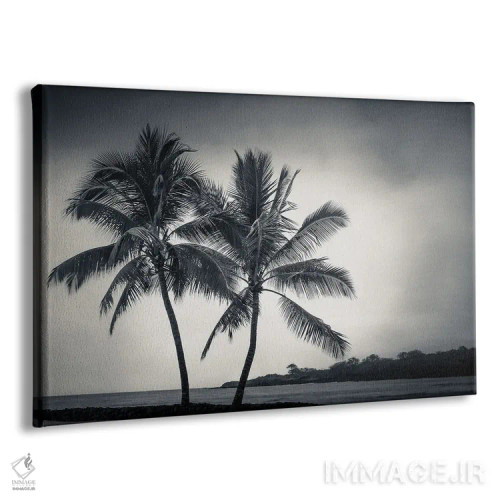 تابلو دو نخل اثر دان شوارتز - نمای پرسپکتیو محصول