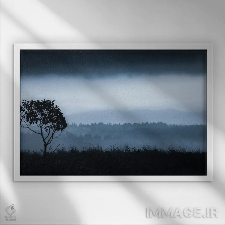 تابلو درخت تنها در واشن (جزیرهٔ واشن) اثر دان شوارتز - نمای قابدار سفید