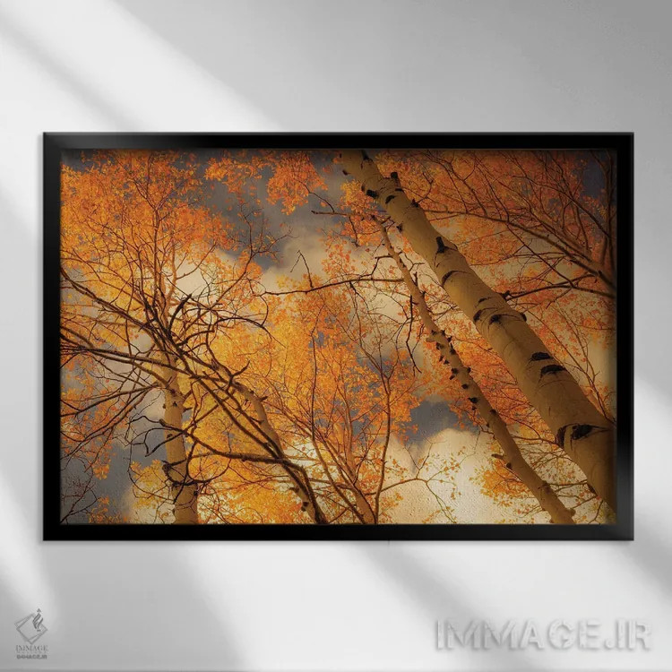 تابلو صنوبرهای سربهفلککشیده اثر دان شوارتز - نمای قابدار مشکی