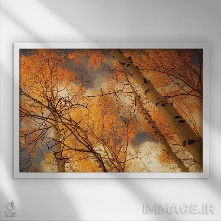 تابلو صنوبرهای سربهفلککشیده اثر دان شوارتز - نمای قابدار سفید