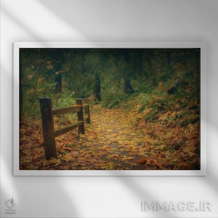 تابلو مسیر برگپوش اثر دان شوارتز - نمای قابدار سفید