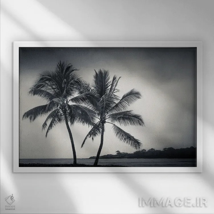 تابلو دو نخل اثر دان شوارتز - نمای قابدار سفید