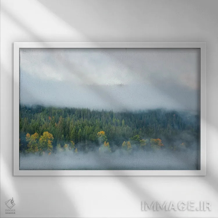 تابلو لمس پاییز اثر دان شوارتز - نمای قابدار سفید