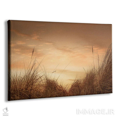 تابلو علفهای ساحلی در غروب ۱ اثر دان شوارتز - نمای پرسپکتیو محصول