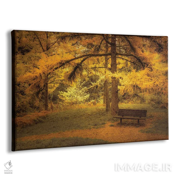 تابلو نیمکت زیر لارجها (نوعی درخت مخروطی) اثر دان شوارتز - نمای پرسپکتیو محصول