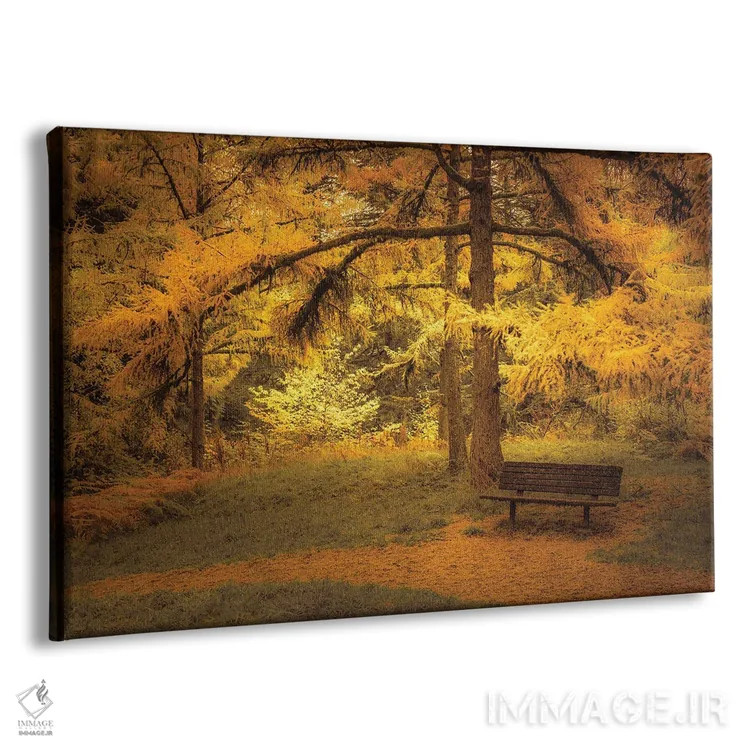 تابلو نیمکت زیر لارجها (نوعی درخت مخروطی) اثر دان شوارتز - نمای پرسپکتیو محصول