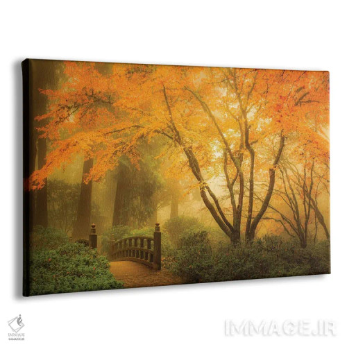 تابلو آنسوی پل ماه اثر دان شوارتز - نمای پرسپکتیو محصول