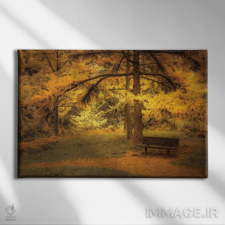تابلو نیمکت زیر لارجها (نوعی درخت مخروطی) اثر دان شوارتز - نمای روبهرو روی دیوار