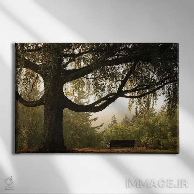 تابلو نشستگاه آرام اثر دان شوارتز - نمای روبهرو روی دیوار