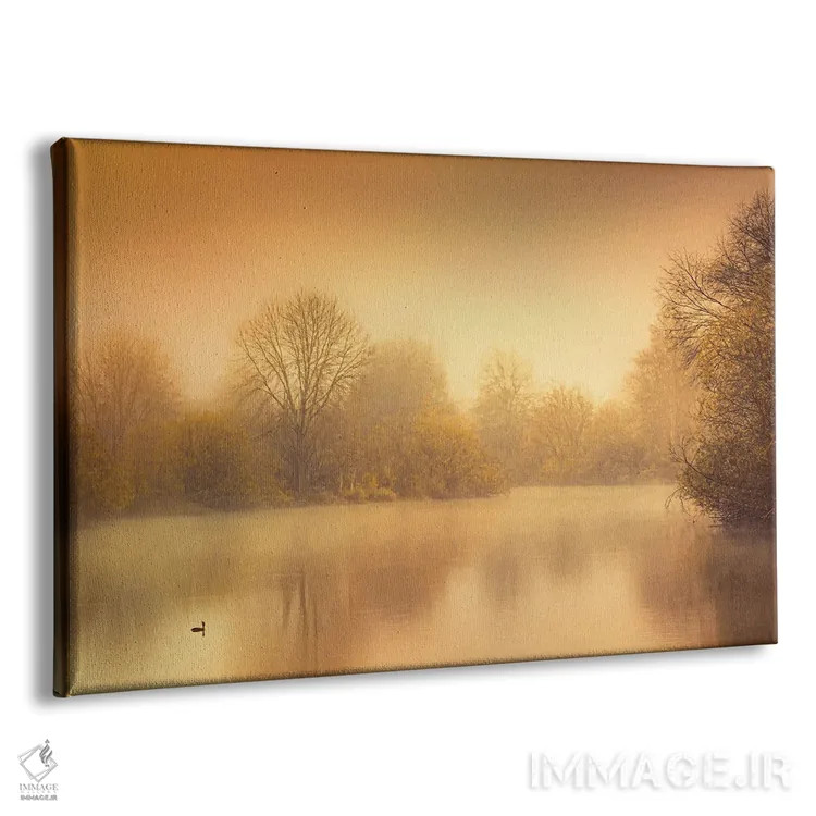 تابلو اردک بر روی تالاب اثر دان شوارتز - نمای پرسپکتیو محصول