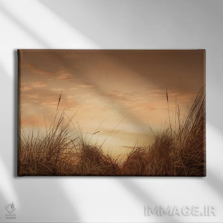تابلو علفهای ساحلی در غروب ۱ اثر دان شوارتز - نمای روبهرو روی دیوار