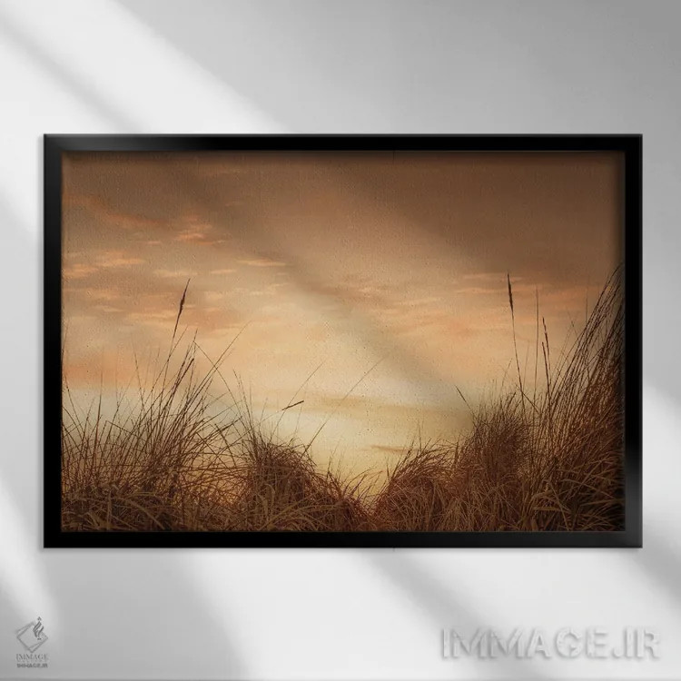 تابلو علفهای ساحلی در غروب ۱ اثر دان شوارتز - نمای قابدار مشکی