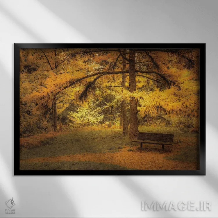 تابلو نیمکت زیر لارجها (نوعی درخت مخروطی) اثر دان شوارتز - نمای قابدار مشکی