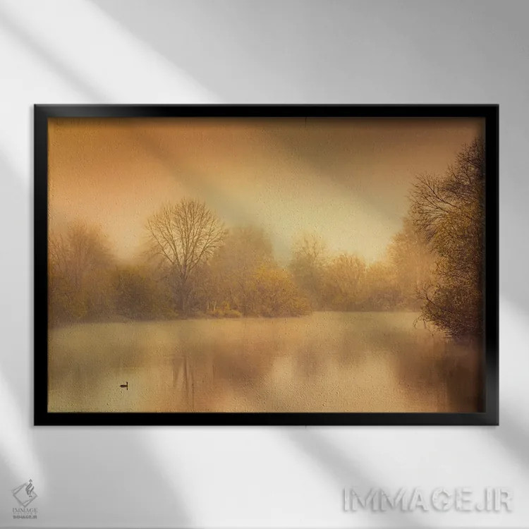 تابلو اردک بر روی تالاب اثر دان شوارتز - نمای قابدار مشکی