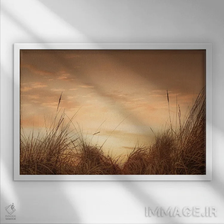 تابلو علفهای ساحلی در غروب ۱ اثر دان شوارتز - نمای قابدار سفید