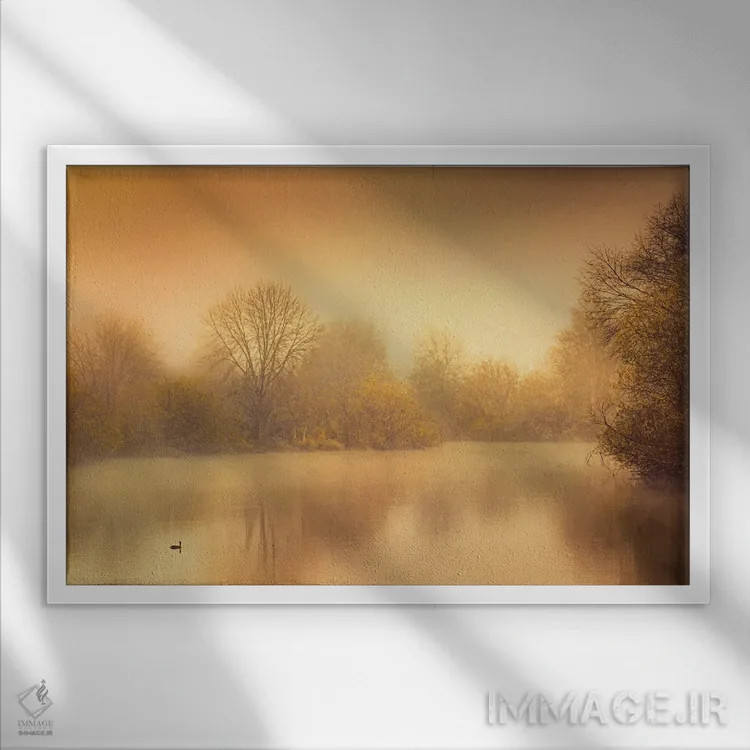 تابلو اردک بر روی تالاب اثر دان شوارتز - نمای قابدار سفید