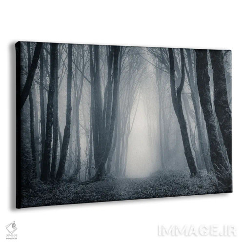 تابلو نور در میان درختان مهآلود ۲ اثر دان شوارتز - نمای پرسپکتیو محصول