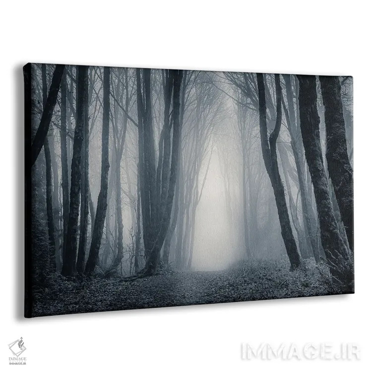 تابلو نور در میان درختان مهآلود ۲ اثر دان شوارتز - نمای پرسپکتیو محصول