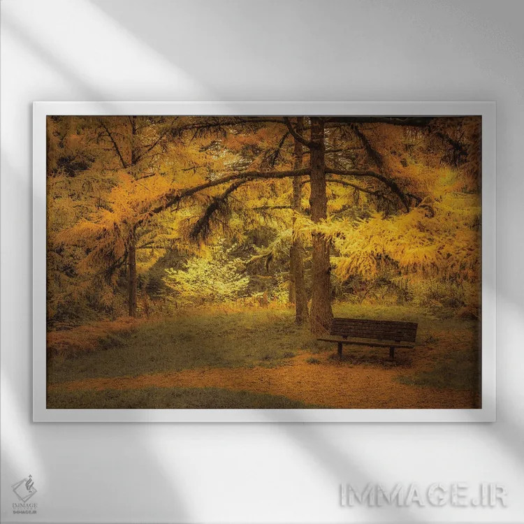 تابلو نیمکت زیر لارجها (نوعی درخت مخروطی) اثر دان شوارتز - نمای قابدار سفید