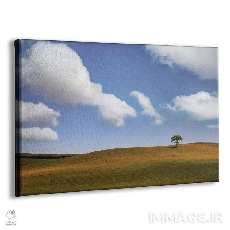 تابلو یک درخت ۱ اثر دان شوارتز - نمای پرسپکتیو محصول