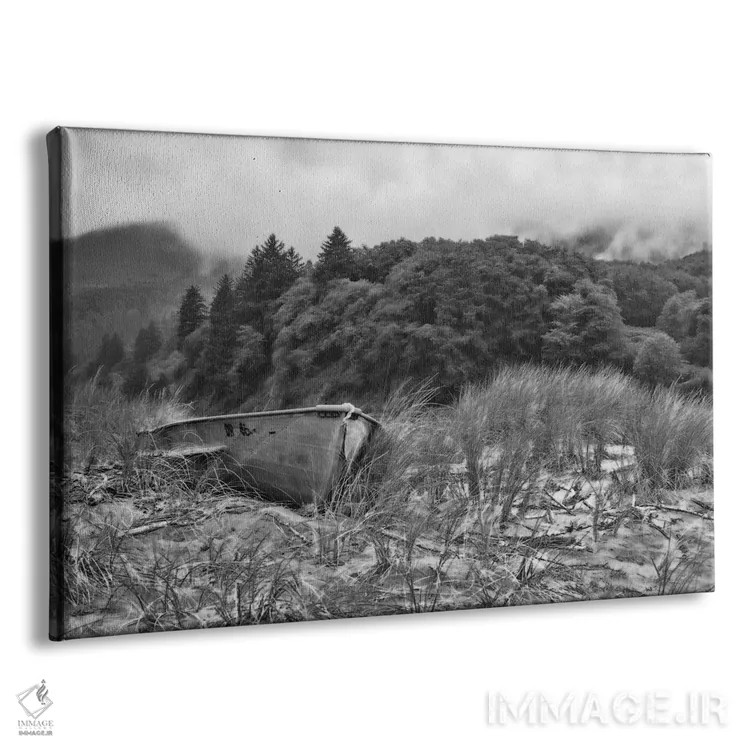 تابلو قایق به ساحل نشسته اثر دان شوارتز - نمای پرسپکتیو محصول