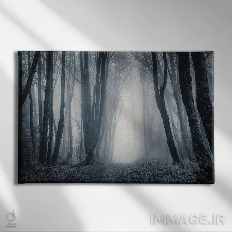 تابلو نور در میان درختان مهآلود ۲ اثر دان شوارتز - نمای روبهرو روی دیوار