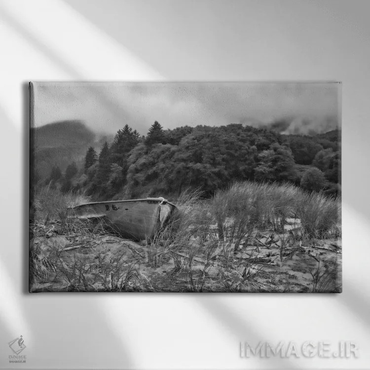 تابلو قایق به ساحل نشسته اثر دان شوارتز - نمای روبهرو روی دیوار