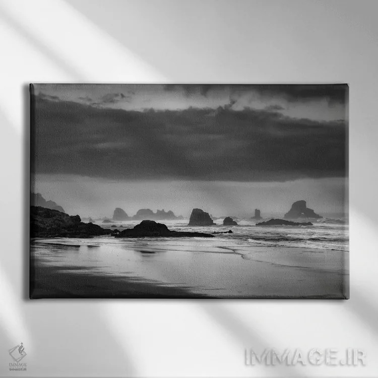 تابلو کشف ساحلی اثر دان شوارتز - نمای روبهرو روی دیوار