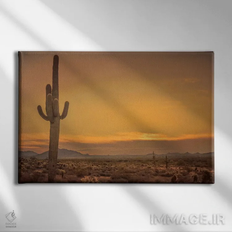 تابلو طلوع خورشید در کنار کاکتوس اثر دان شوارتز - نمای روبهرو روی دیوار
