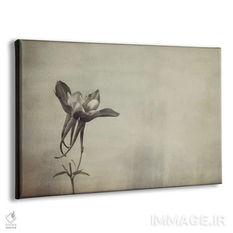 تابلو گل پامچال (کلمباین) اثر دان شوارتز - نمای پرسپکتیو محصول