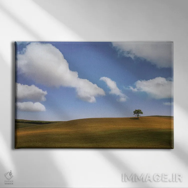 تابلو یک درخت ۱ اثر دان شوارتز - نمای روبهرو روی دیوار