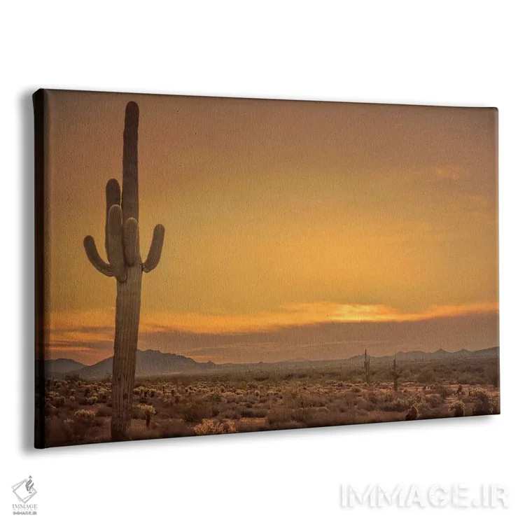 تابلو طلوع خورشید در کنار کاکتوس اثر دان شوارتز - نمای پرسپکتیو محصول