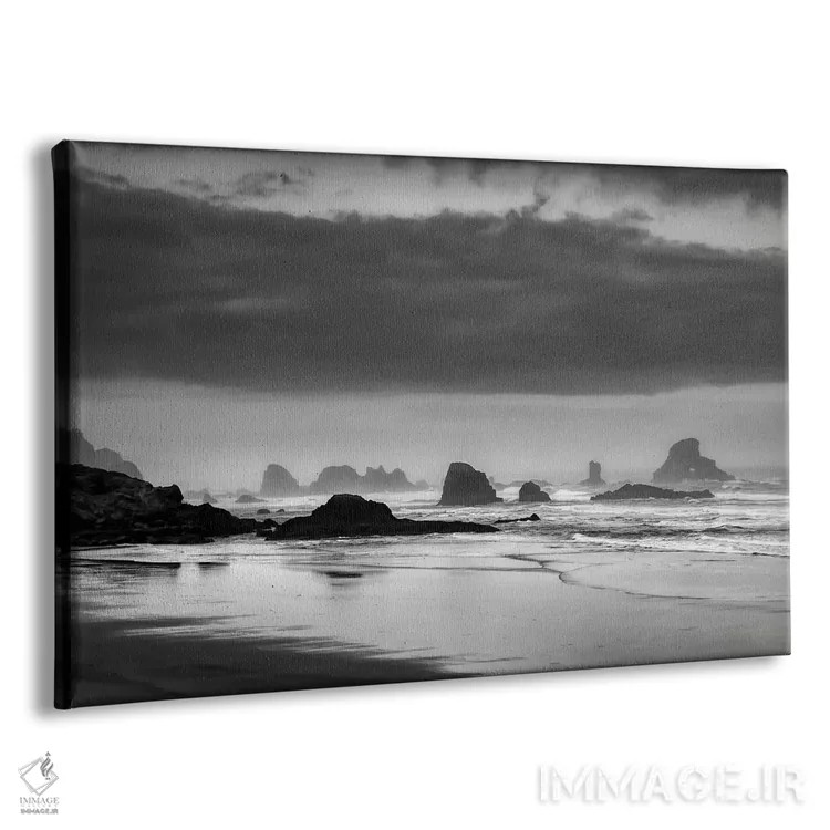 تابلو کشف ساحلی اثر دان شوارتز - نمای پرسپکتیو محصول