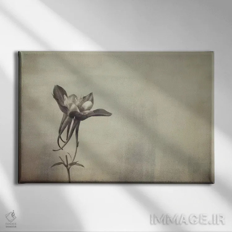 تابلو گل پامچال (کلمباین) اثر دان شوارتز - نمای روبهرو روی دیوار