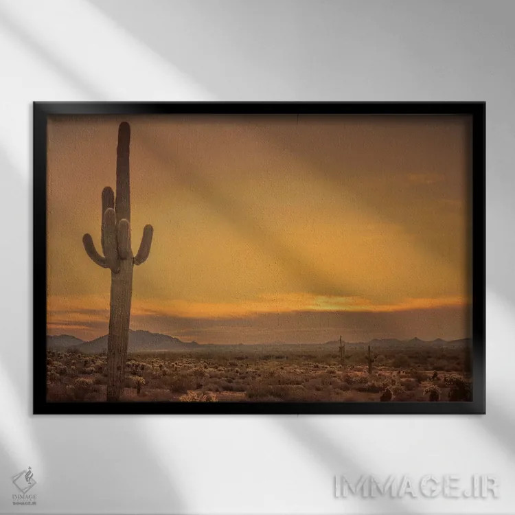 تابلو طلوع خورشید در کنار کاکتوس اثر دان شوارتز - نمای قابدار مشکی