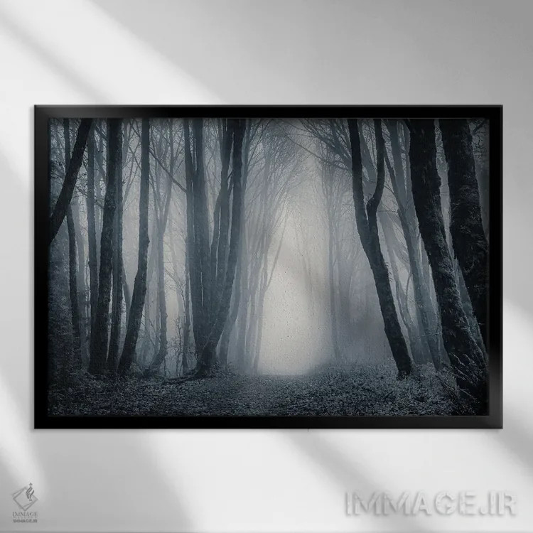 تابلو نور در میان درختان مهآلود ۲ اثر دان شوارتز - نمای قابدار مشکی