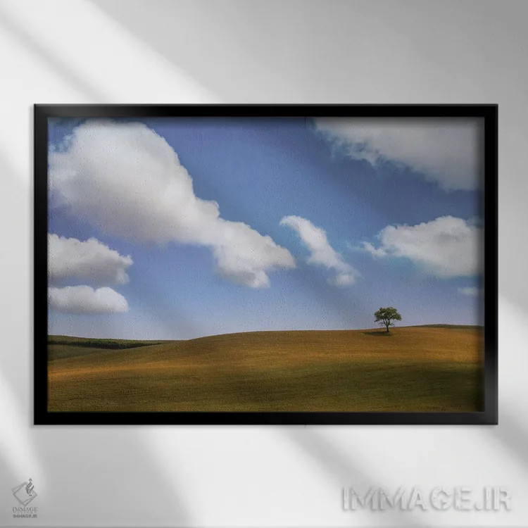 تابلو یک درخت ۱ اثر دان شوارتز - نمای قابدار مشکی