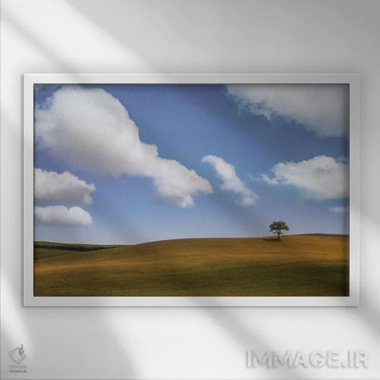 تابلو یک درخت ۱ اثر دان شوارتز - نمای قابدار سفید