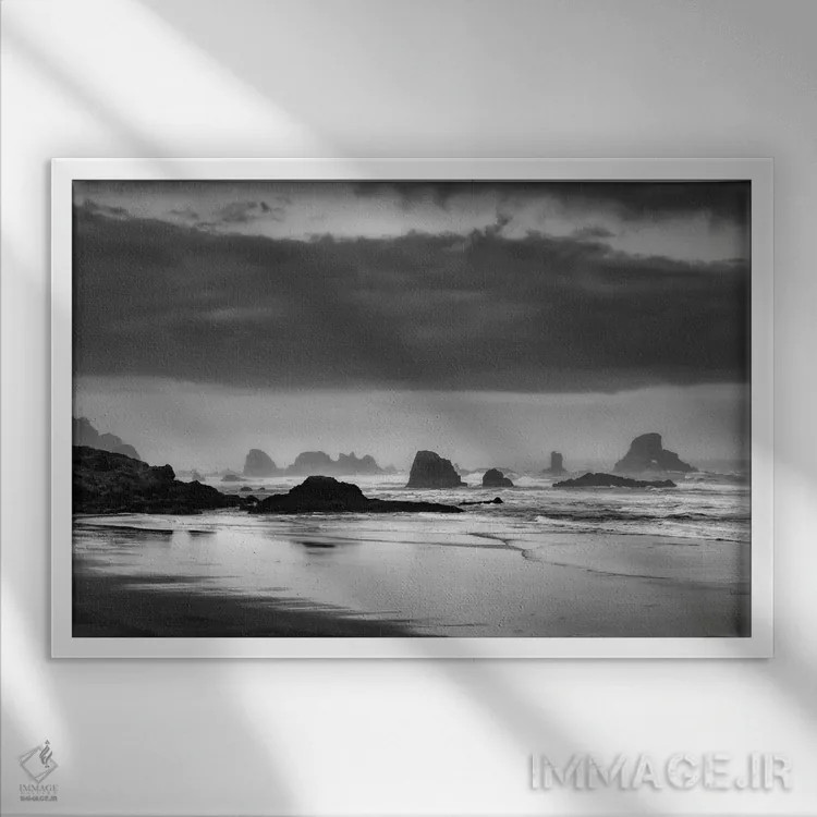 تابلو کشف ساحلی اثر دان شوارتز - نمای قابدار سفید