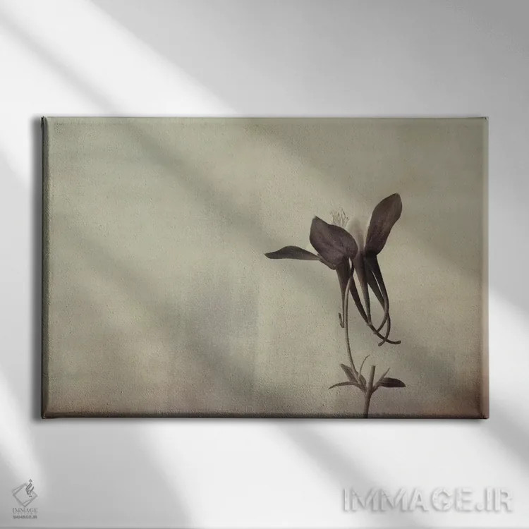 تابلو سادگی گل پامچال اثر دان شوارتز - نمای روبهرو روی دیوار