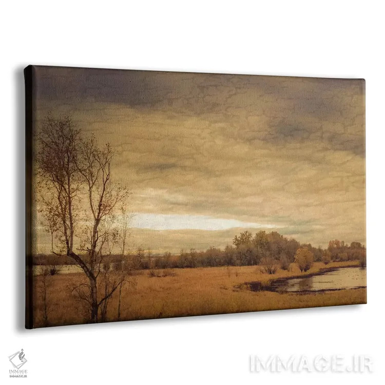 تابلو غازها روی برکه اثر دان شوارتز - نمای پرسپکتیو محصول