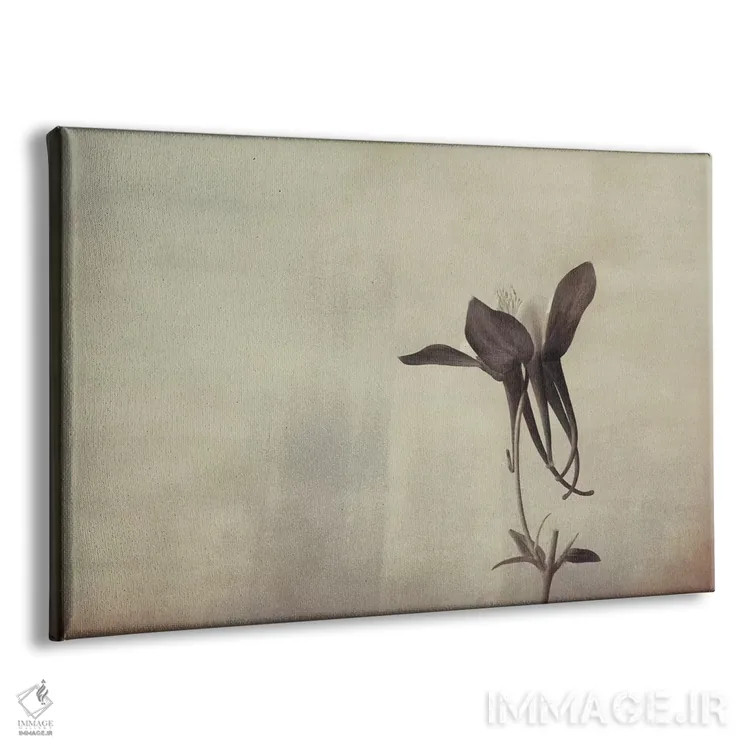 تابلو سادگی گل پامچال اثر دان شوارتز - نمای پرسپکتیو محصول