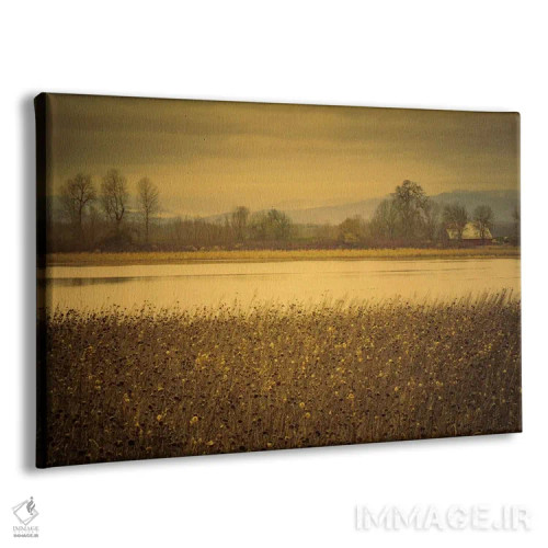 تابلو آنسوی دشت و برکه اثر دان شوارتز - نمای پرسپکتیو محصول