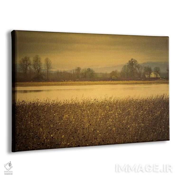 تابلو آنسوی دشت و برکه اثر دان شوارتز - نمای پرسپکتیو محصول