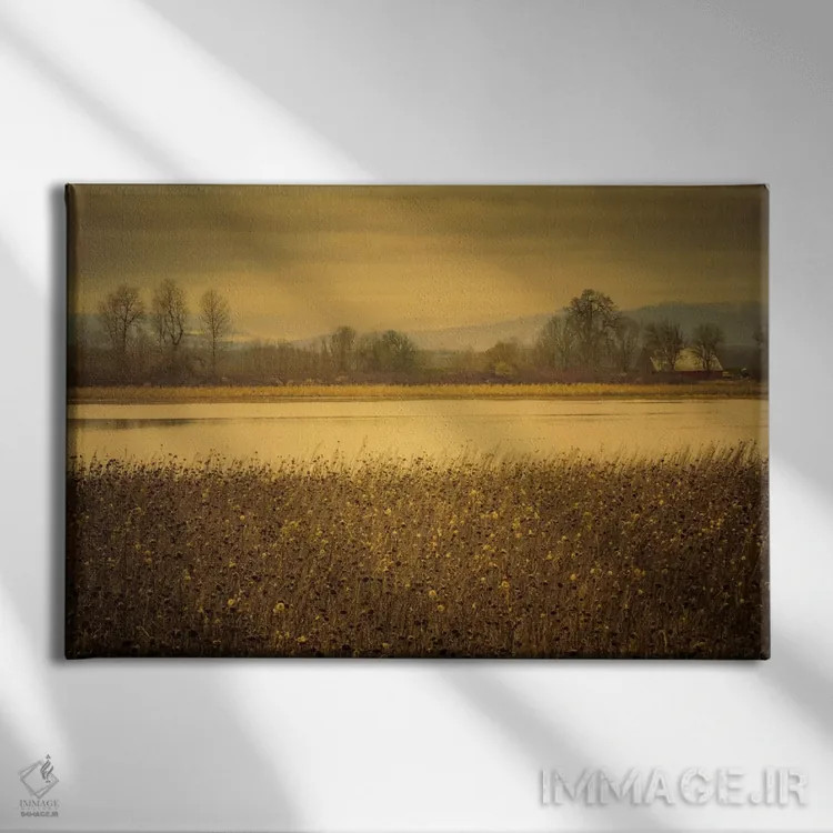 تابلو آنسوی دشت و برکه اثر دان شوارتز - نمای روبهرو روی دیوار