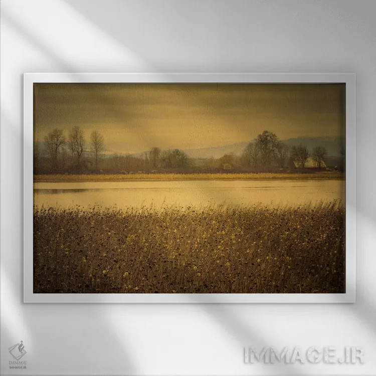 تابلو آنسوی دشت و برکه اثر دان شوارتز - نمای قابدار سفید
